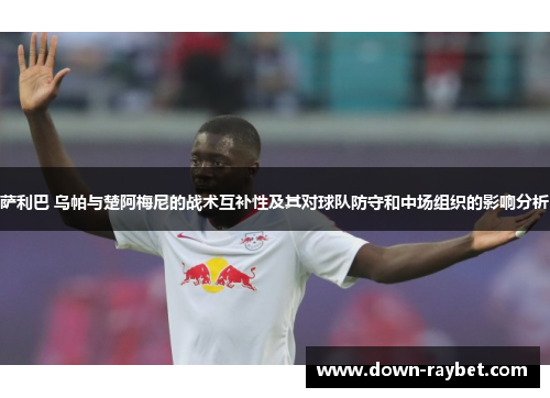 萨利巴 乌帕与楚阿梅尼的战术互补性及其对球队防守和中场组织的影响分析