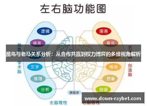 魔鸟与老马关系分析：从合作共赢到权力博弈的多维视角解析