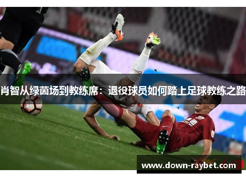 肖智从绿茵场到教练席：退役球员如何踏上足球教练之路