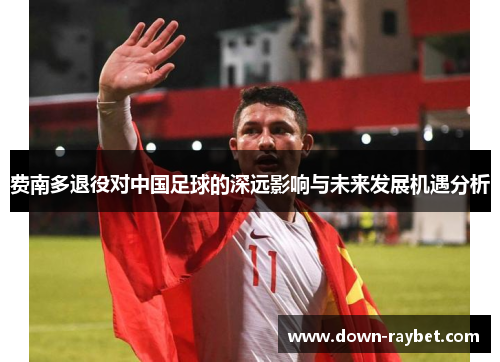 费南多退役对中国足球的深远影响与未来发展机遇分析